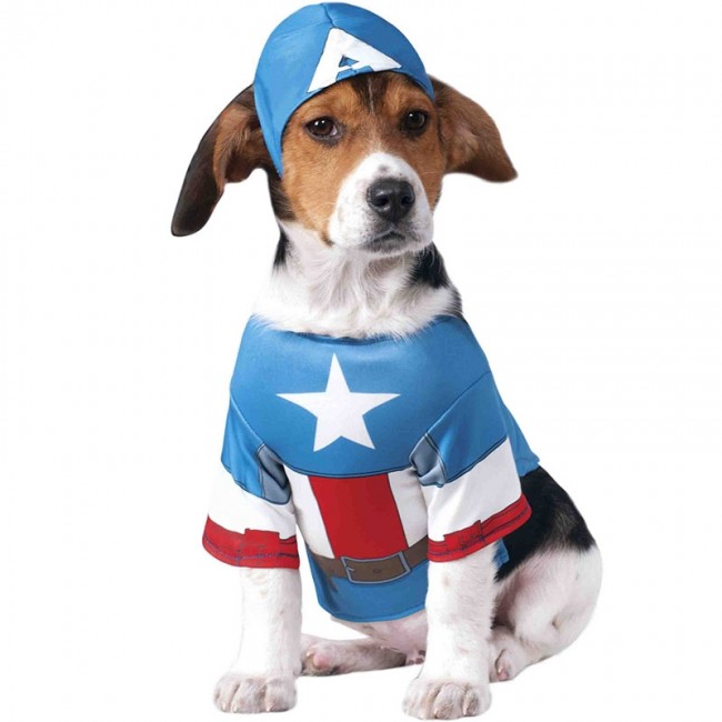 disfraz capitan america para perro