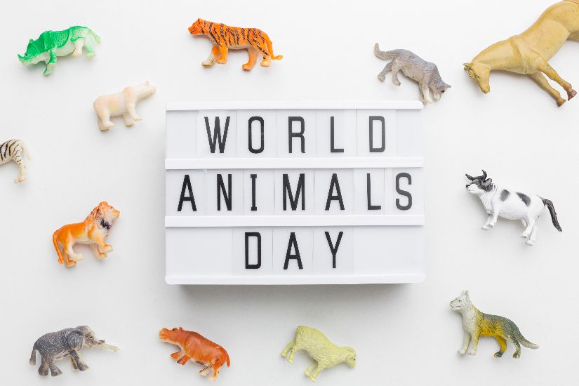 disfraz de animales para adultos para el día mundial de los animales